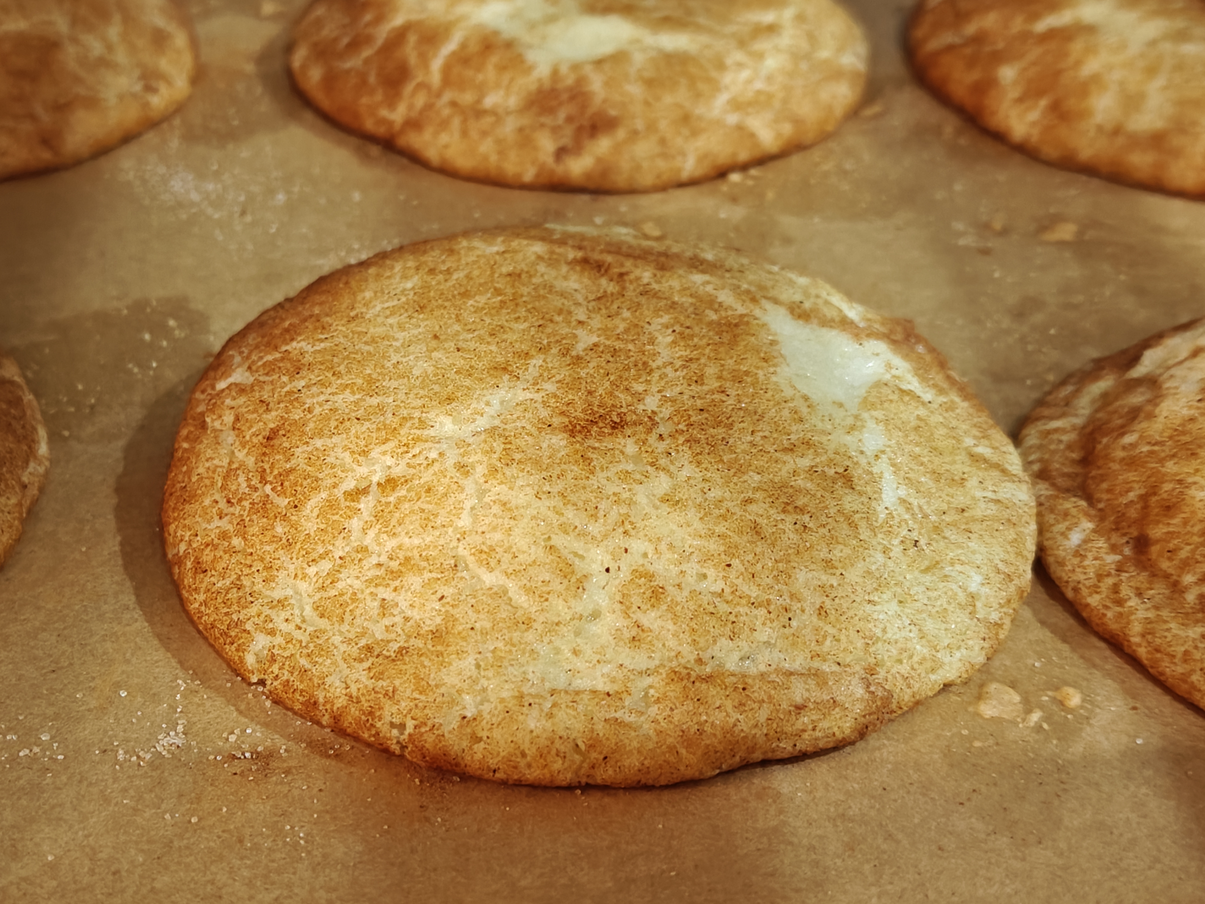 Snickerdoodle Cookies from Aanya's Treats